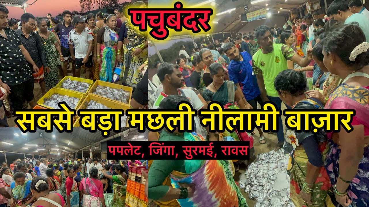 Mumbai Wholesale Fish Market | मुंबई का सबसे बड़ा मछली बाज़ार | पपलेट, रावस, केकड़ा, झिंगा, बोब्बिल