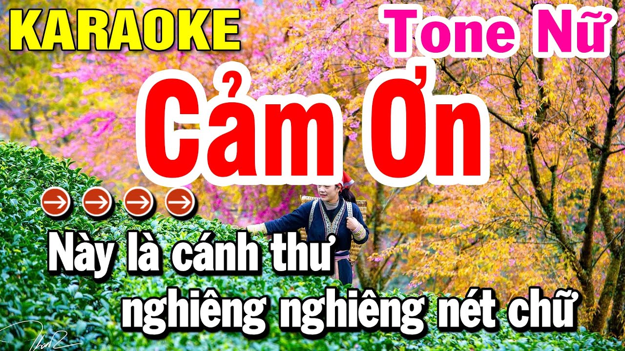 Karaoke Cảm Ơn - Tone Nữ Beat Hay Dễ Ca Nhất | Huỳnh Lê