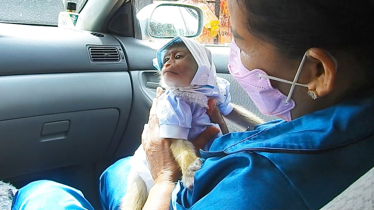 Jing Jing Goes On A Lovely Family Car Trip!
