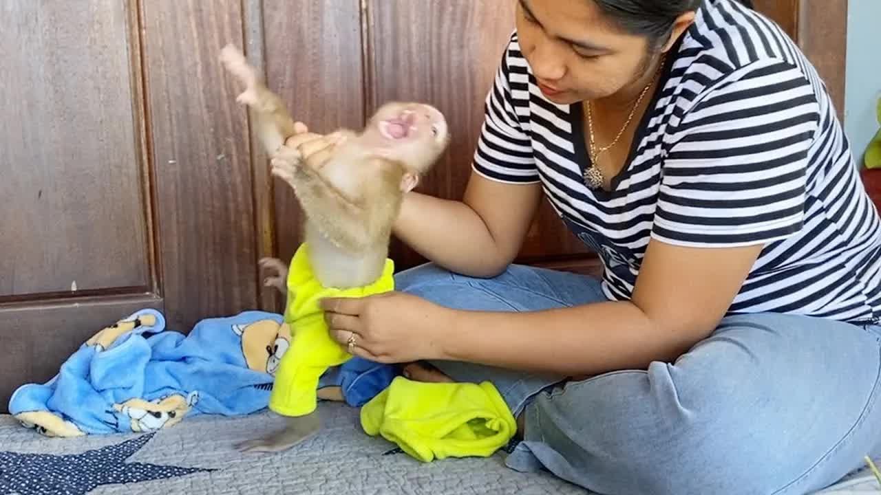 This Is Spoiled Gesture When DAM Hungry Never Respect For Manner