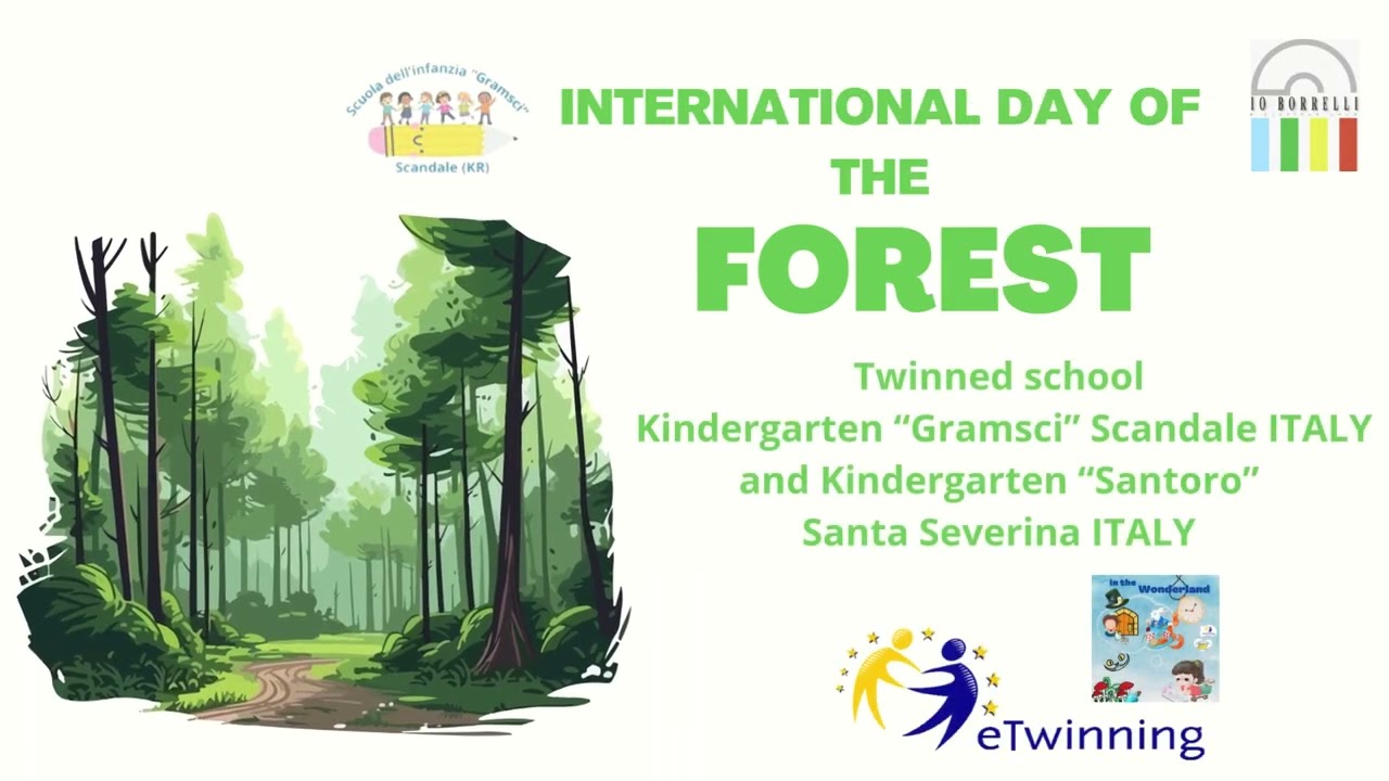 INTERNATIONAL DAY OF THE FOREST, Kindergarten activities