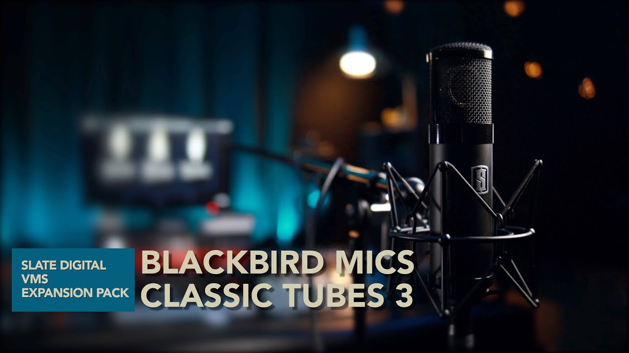 VMS ML-1 Classic Tubes 3 & Blackbird Mics