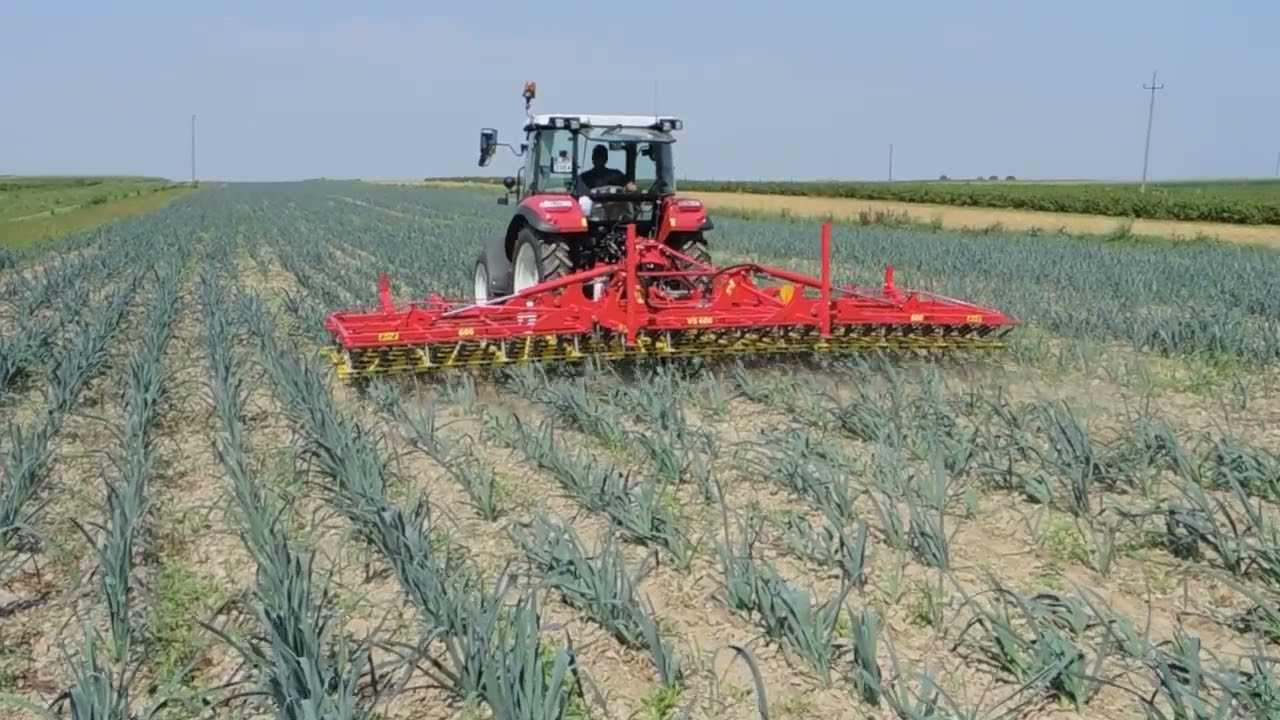 Diversification of organic farming | A Polish Success Story
