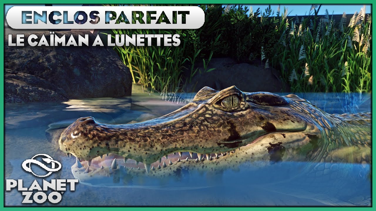Le Caïman à Lunettes (Plage tropicale) | LES ENCLOS PARFAITS : EPISODE 83 | PLANET ZOO
