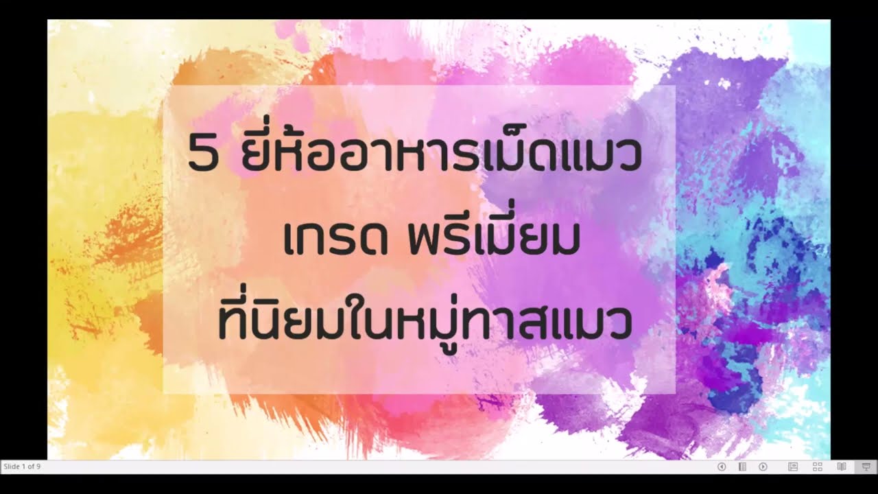 5 ยี่ห้ออาหารเม็ดแมว เกรดพรีเมี่ยม
