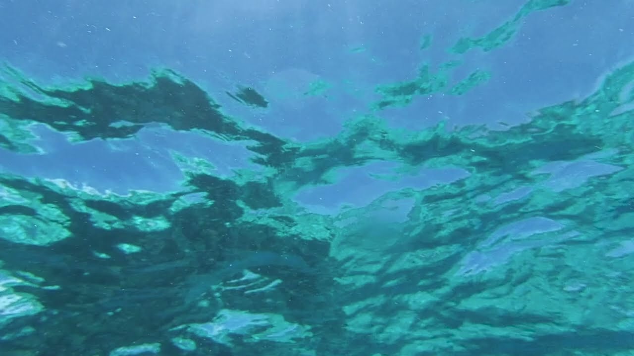海の中