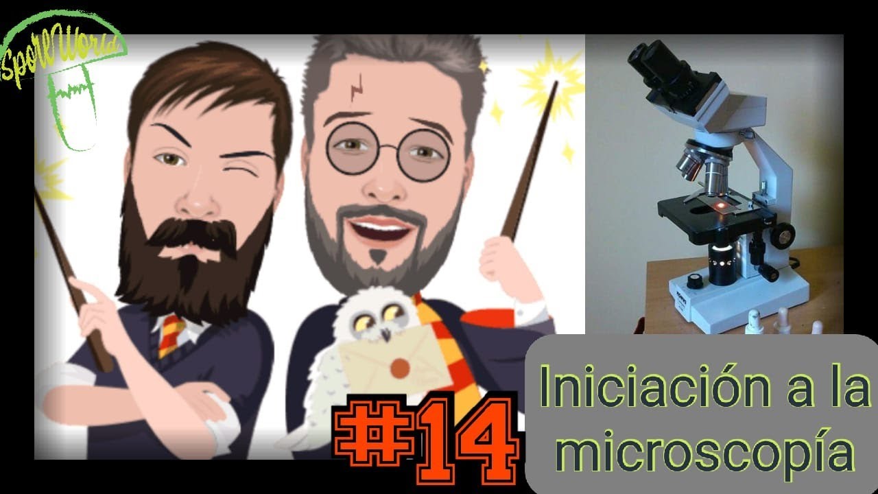 #14.🔺 INICIACIÓN A LA MICROSCOPÍA 🍄🌲CURSO DE MICOLOGÍA