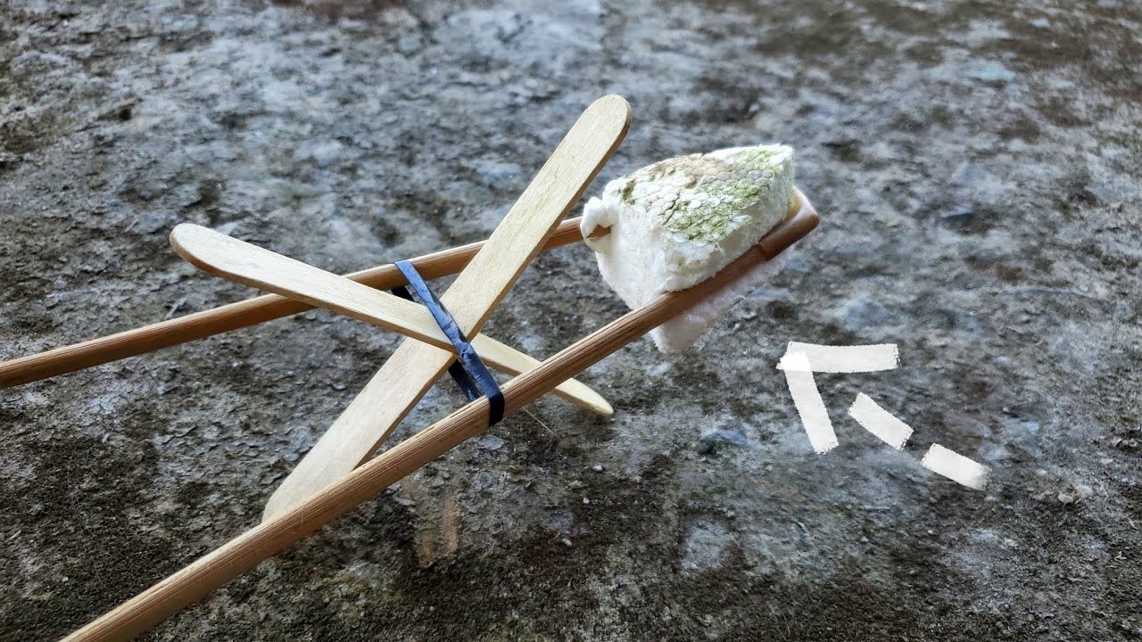 Không ngờ có thể.. BO THÁI NƯỚC chạy được trên cạn??