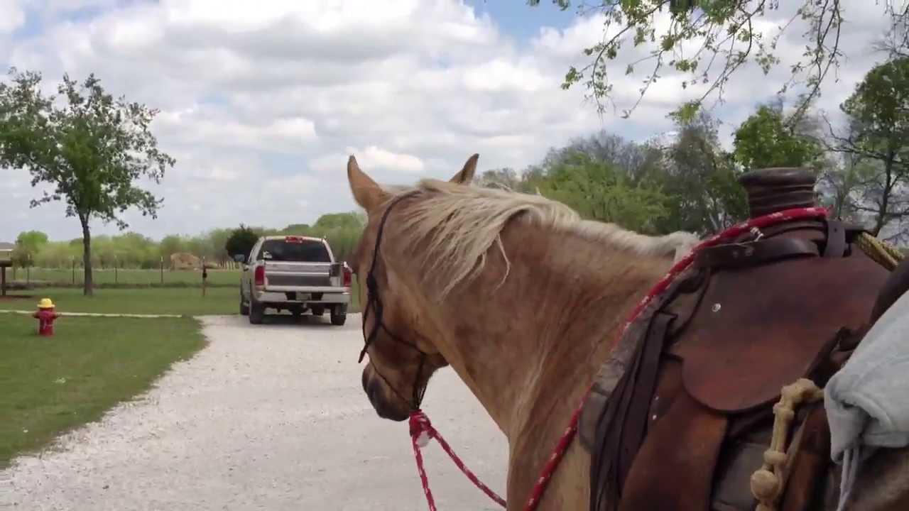 Why Get Off Your Horse Before You Get Home From A Ride - Rick Gore Horsemanship