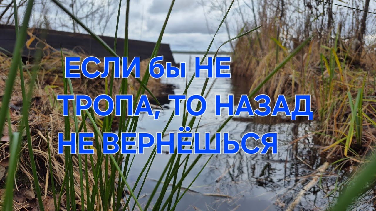 ОЛЬМАНСКИЕ БОЛОТА. САМЫЕ БОЛЬШИЕ В ЕВРОПЕ.ЗЕЛЁНОЕ МОРЕ .