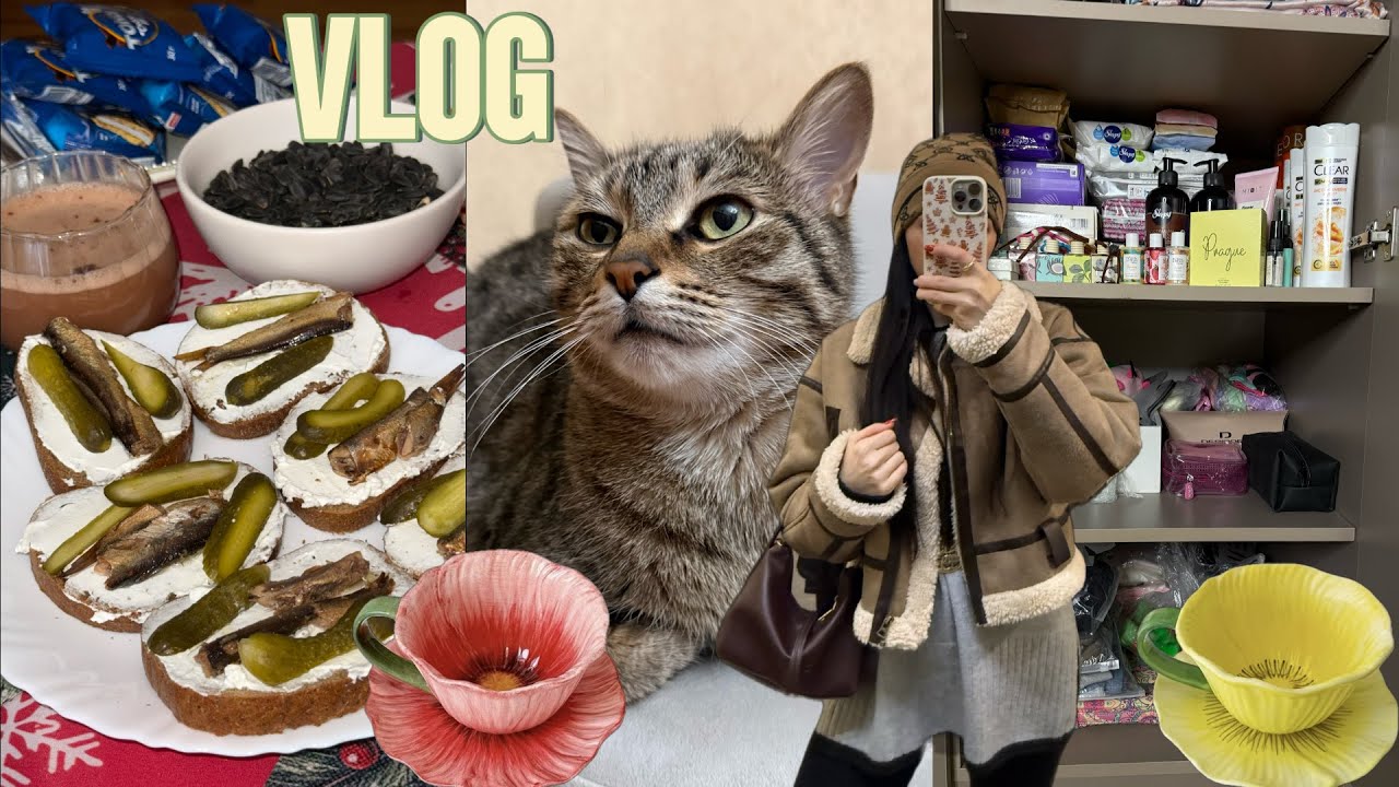 &Ccedil;OX QAZANMAQ HAQSİZLİKDİ? 💰 Market alış veriş 💞 Təmizlik Evdə 💞 Ayka 14