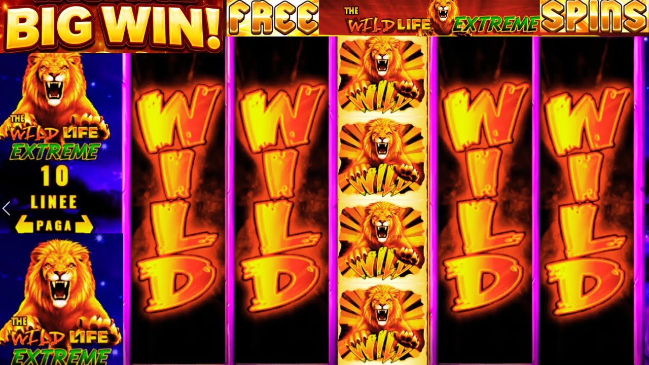 INSANE BIG WIN on THE WILD LIFE EXTREME SLOT 🌿 | WILD MULTIPLIERS GO CRAZY!