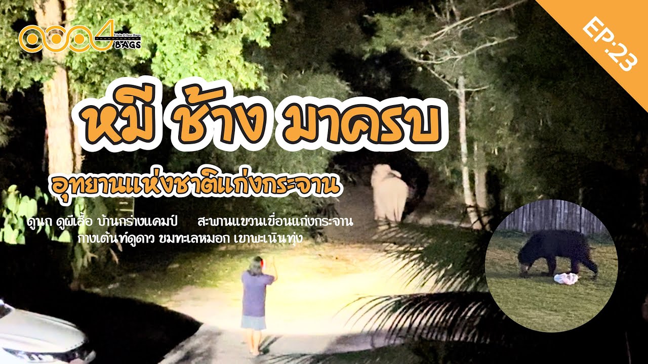 EP:23 อุทยานแห่งชาติแก่งกระจาน เจอทั้งช้าง เจอทั้งหมี