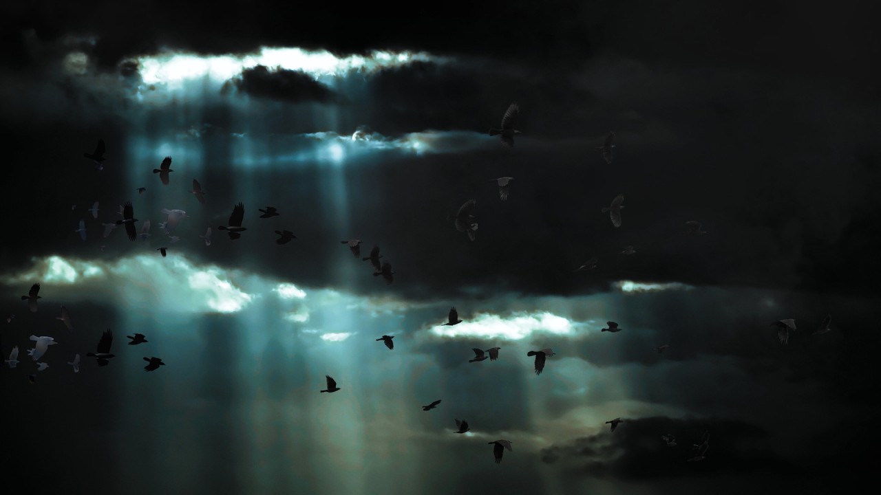 The Council of Black Wings