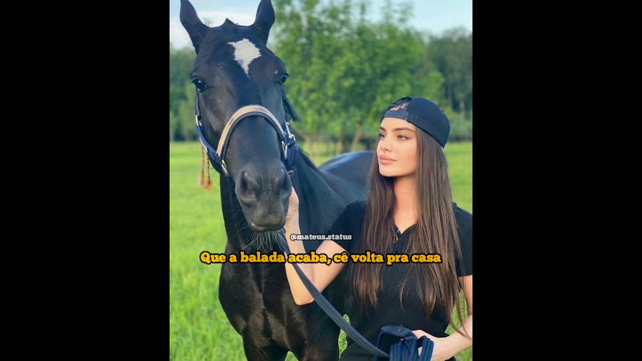 M&uacute;sica Para Status Whatsapp Sertanejo / Sofr&ecirc;ncia / Forro/V&iacute;deos Apaixonados Para Status...