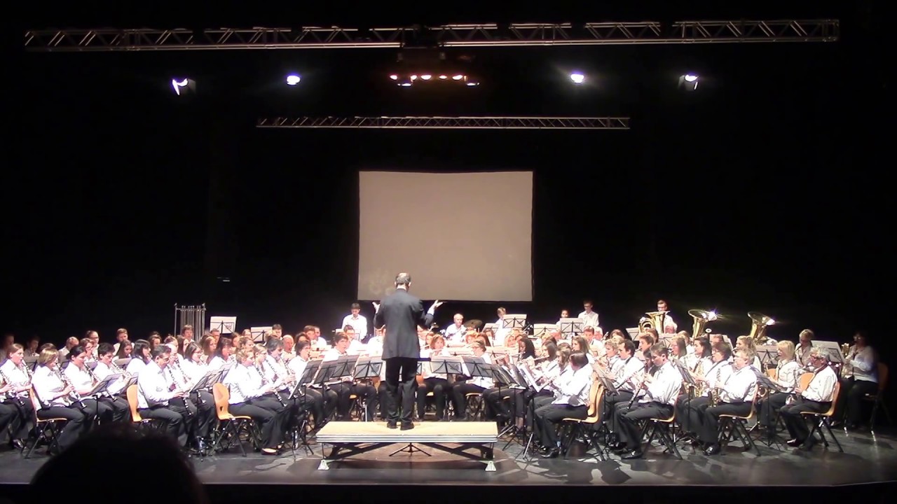 Voice of the Vikings - Michael Geisler (H.M. Sallanches)