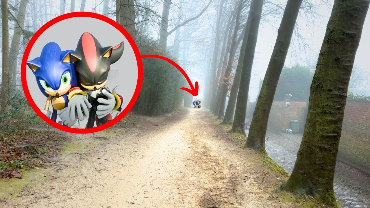 Shadow está herido… ¿Puede Sonic ayudarlo?