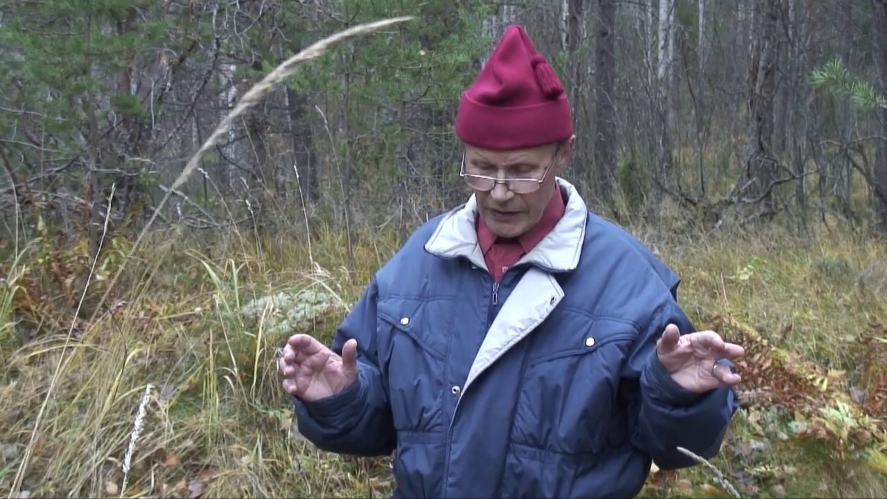 Erkki Luukkosen syntymäpaikka Impilahdella