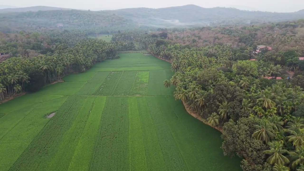 Bird's eye view of our village 😍 😎 😀 