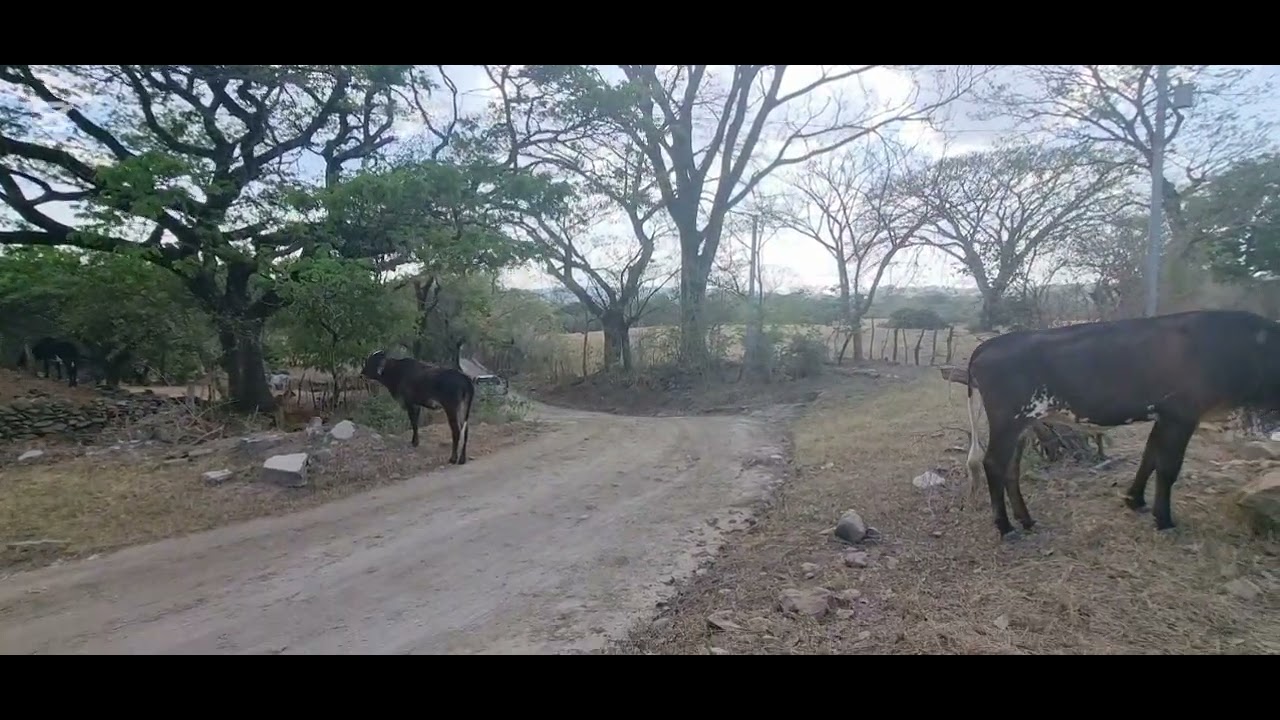 4 Manzanas de terreno en Dolores la puebla El salvador 
