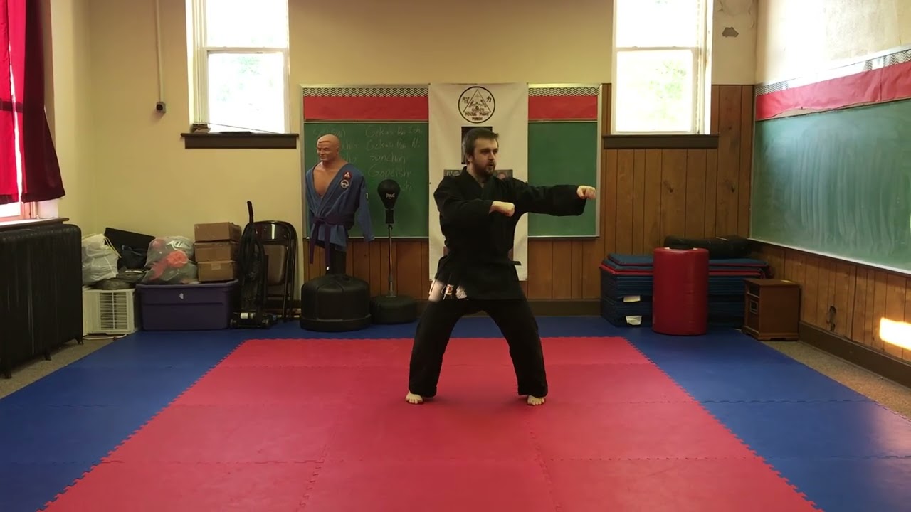Naihanchi Sho - Shinko Niyotte Karate - Nathan Shults