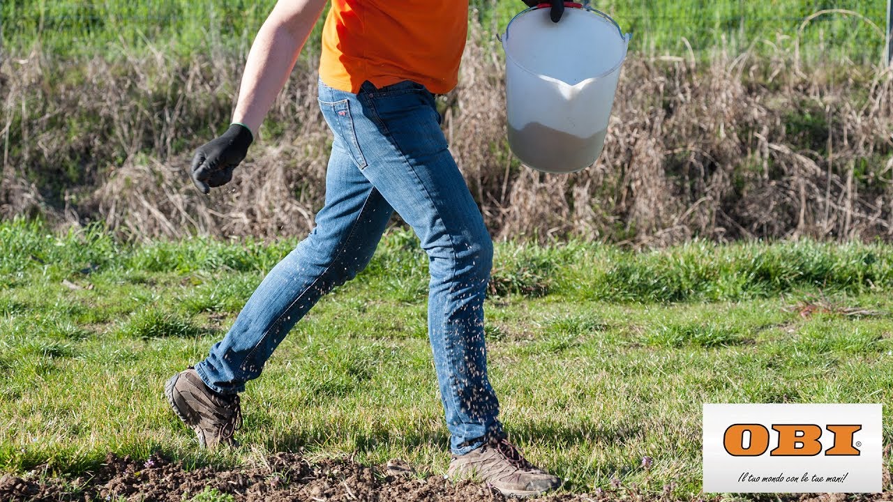 Come realizzare il prato: dal terreno alla semina