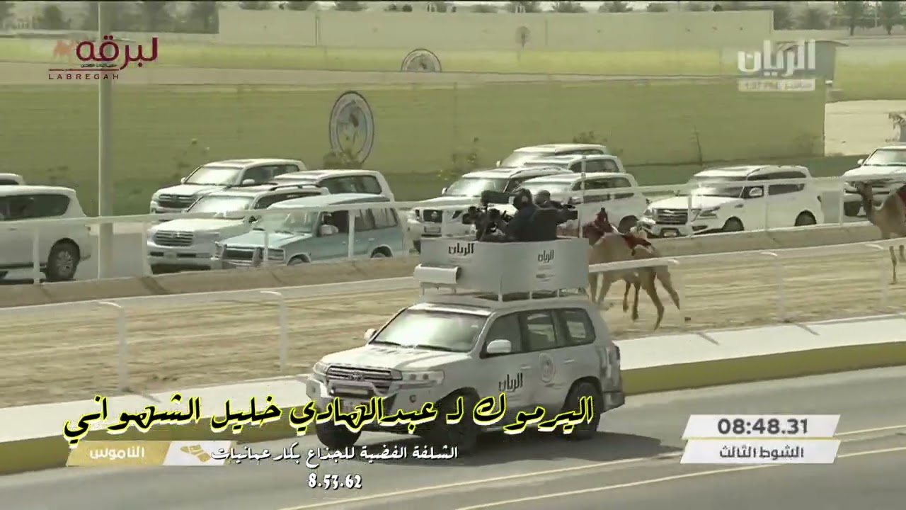ملخص الرموز الفضية للأشواط العامة (مهرجان سمو الأمير المفدى) ميدان الشحانية 2022