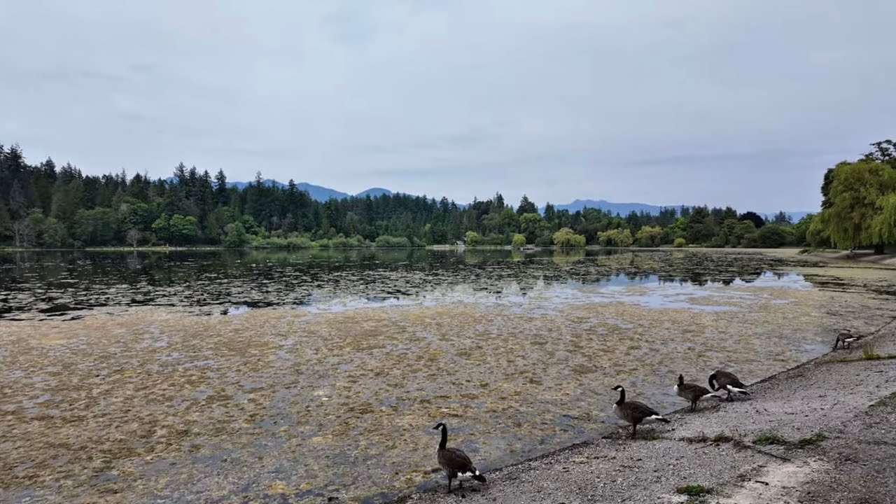 Walking in 4k around Vancouver, BC ~ Third & Second Beach Walk with Beautiful Views