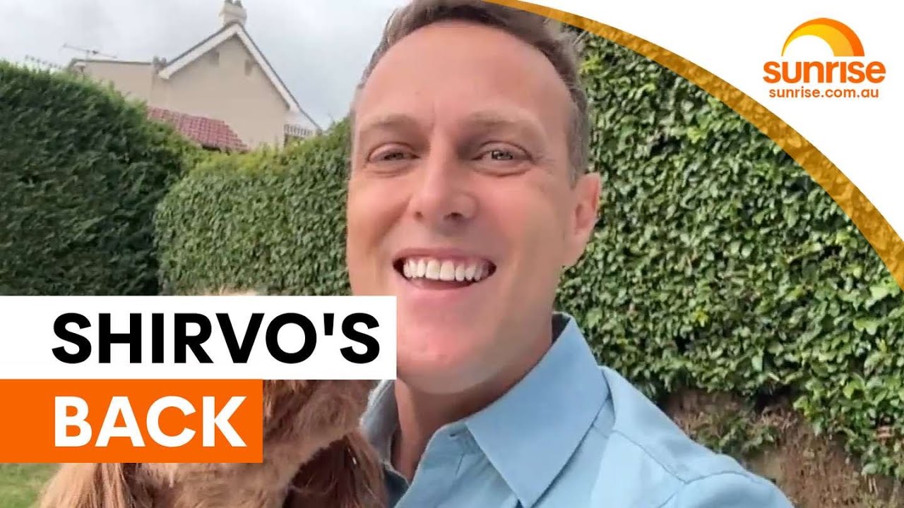 Shirvo announces return to Sunrise