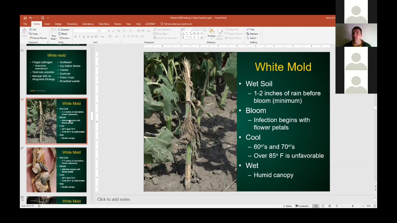 Soybean Disease Diagnostic Series Review - Western Soybean School
