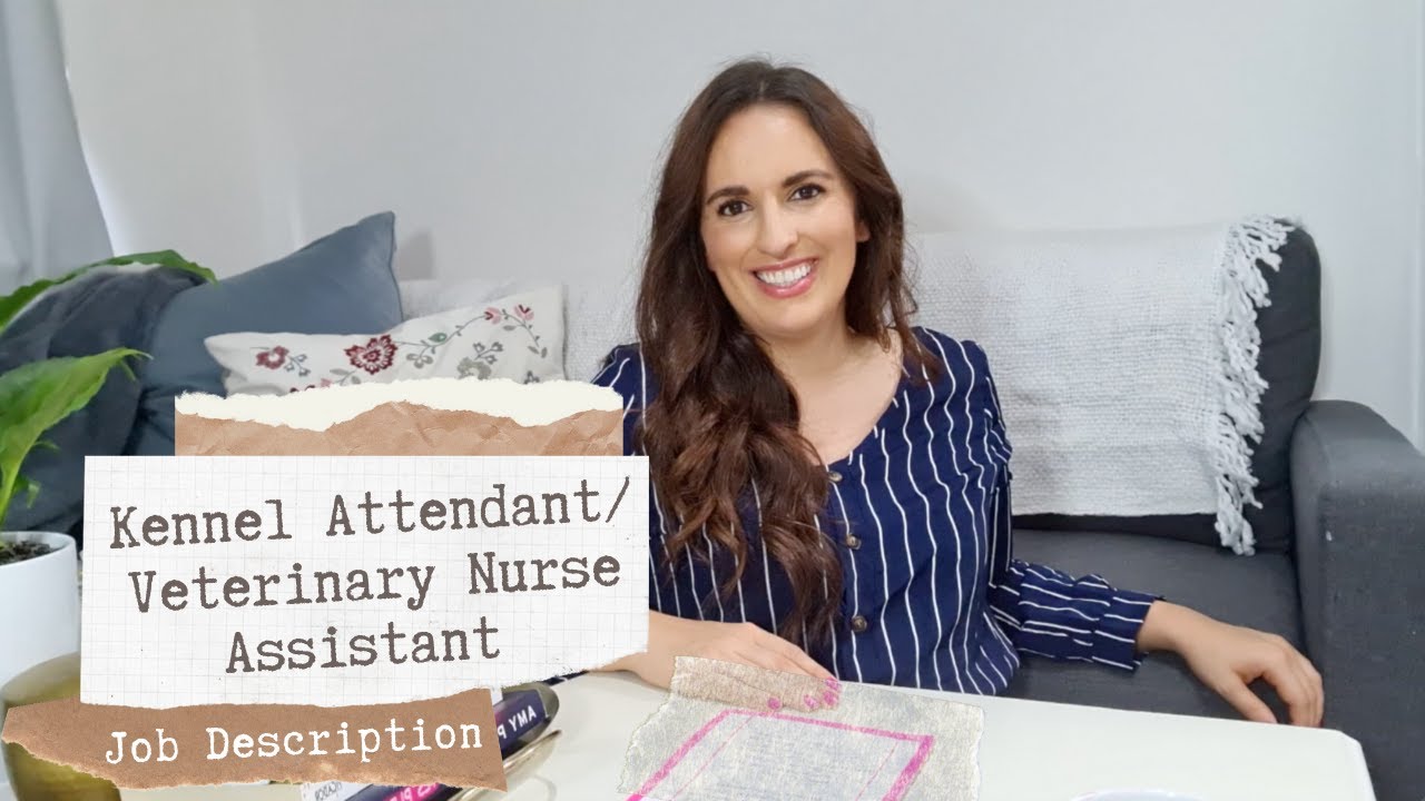 What does a Kennel Attendant/Veterinary Nurse Assistant do?