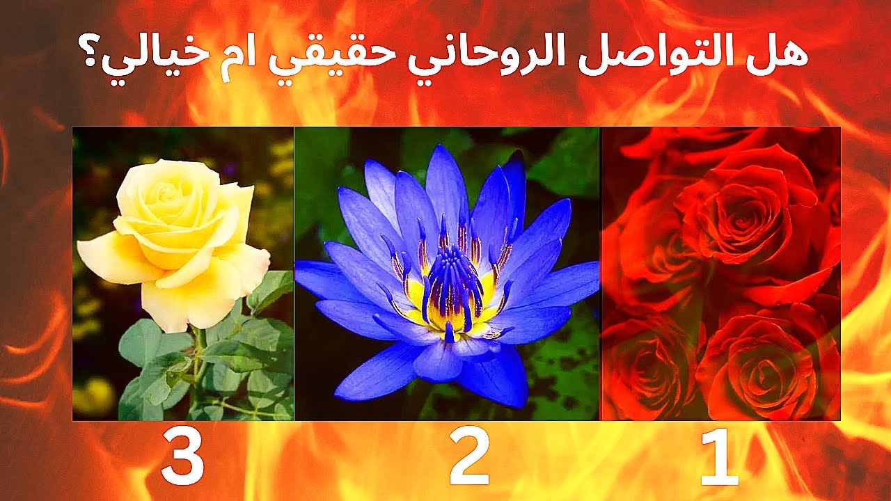 استرسال (بدون كروت): كيف يراك هذا الشخص؟ لماذا يتصرف معك هكذا؟ هل العلاقة حقيقية أم فى خيالك فقط؟🔮