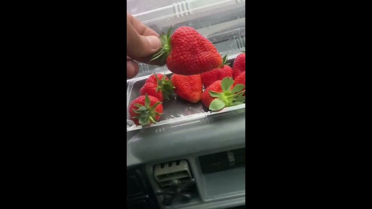Клубника сладкие