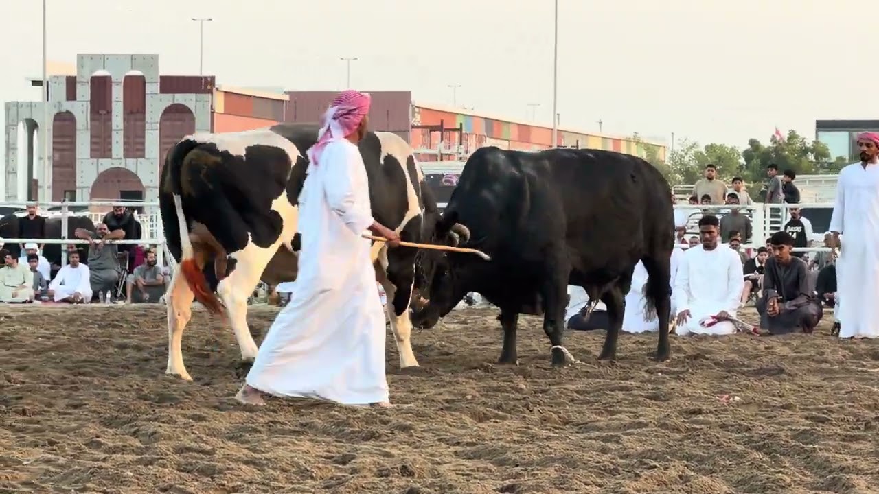 14 فبراير، 2026
