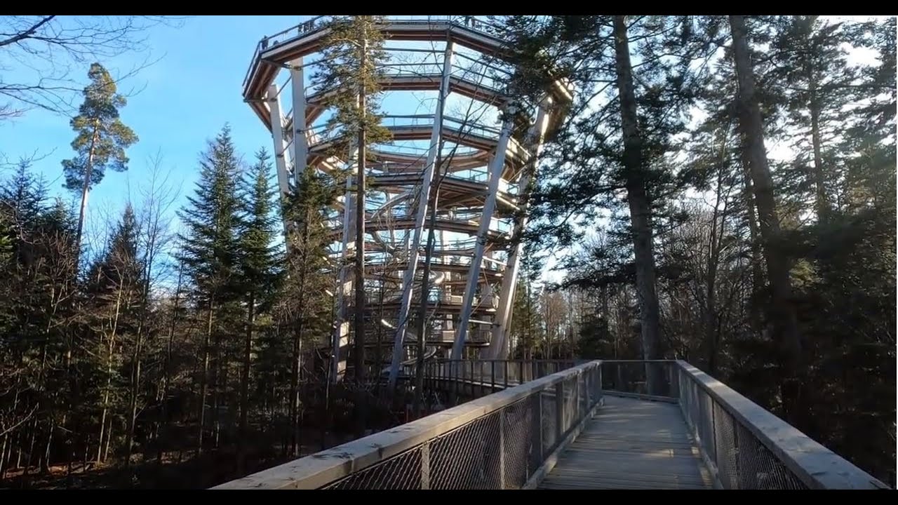 Le chemin des cimes de Baumwipfelpfad en pleine for&ecirc;t-noire (Allemagne)