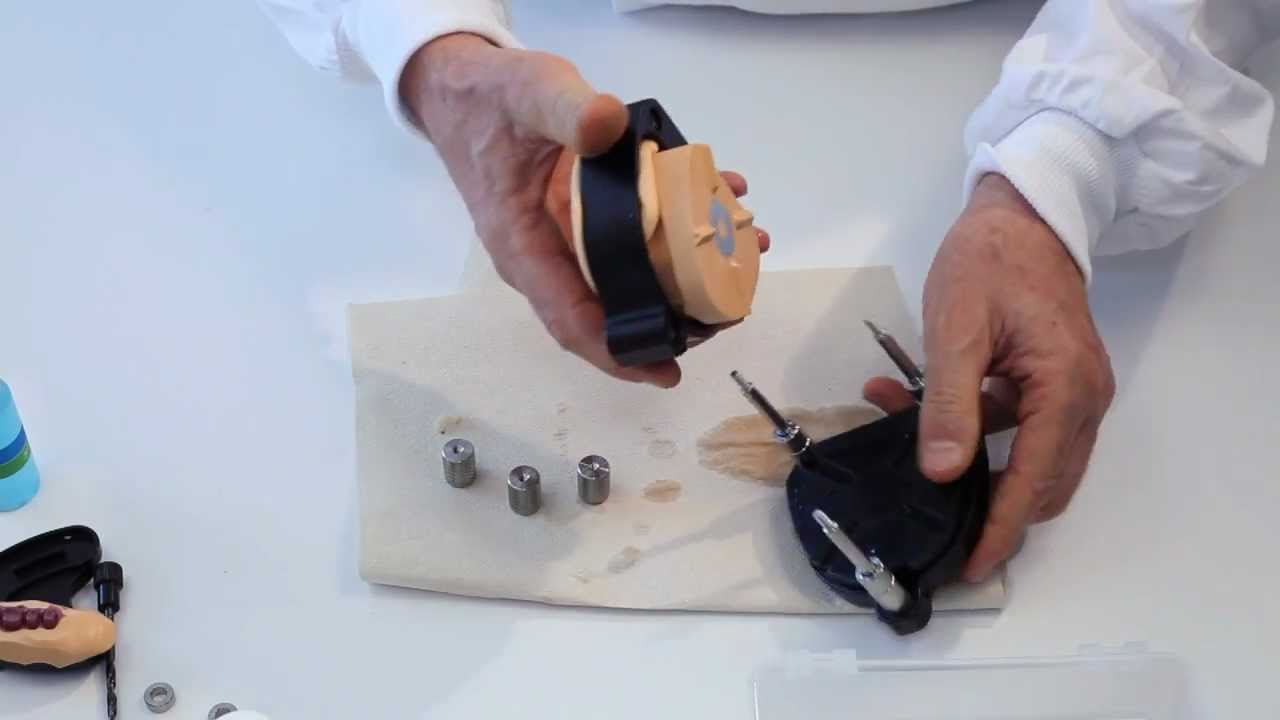 PROVVISORIO PRELIMATURA