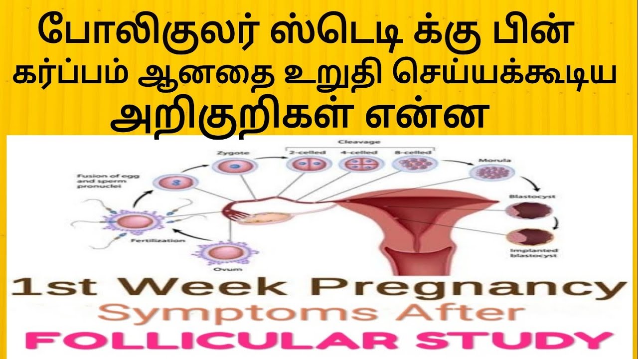 First Pregnancy symptoms after Follicular Study|போலிகுலர் ஸ்டெடியில் ஆரம்ப கர்ப்ப அறிகுறிகள் என்ன