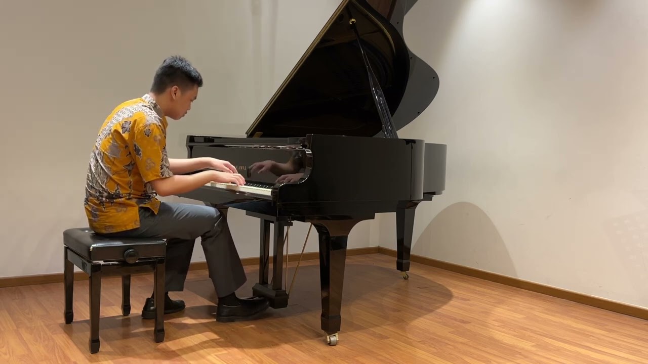 Sonata in D Major K.311 (I. Allegro con spirito, II. Andante con espressione, III. Rondeaux:Allegro)