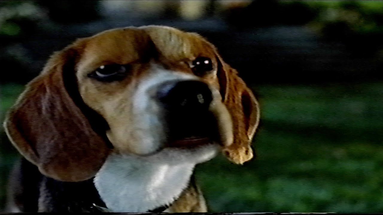 Cats & Dogs: Lou Confronts Butch (2001) (VHS Capture)