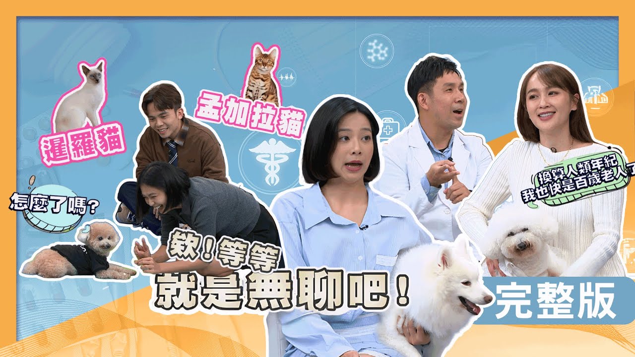 安苡愛毛孩濕疹反覆發作！蔡逸帆愛犬氣管塌陷！蔡祥抱愛犬親自上五樓！【醫學大聯盟】2026.01.27