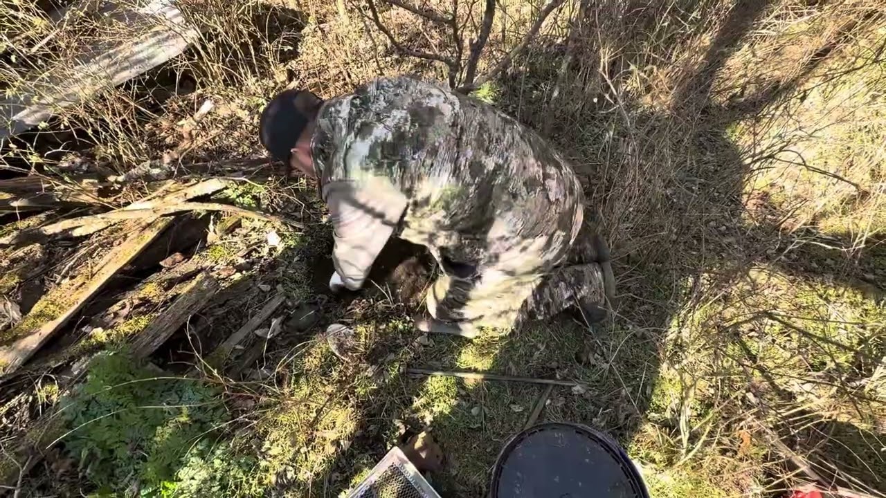 Trapping for beginners.  Trap setting