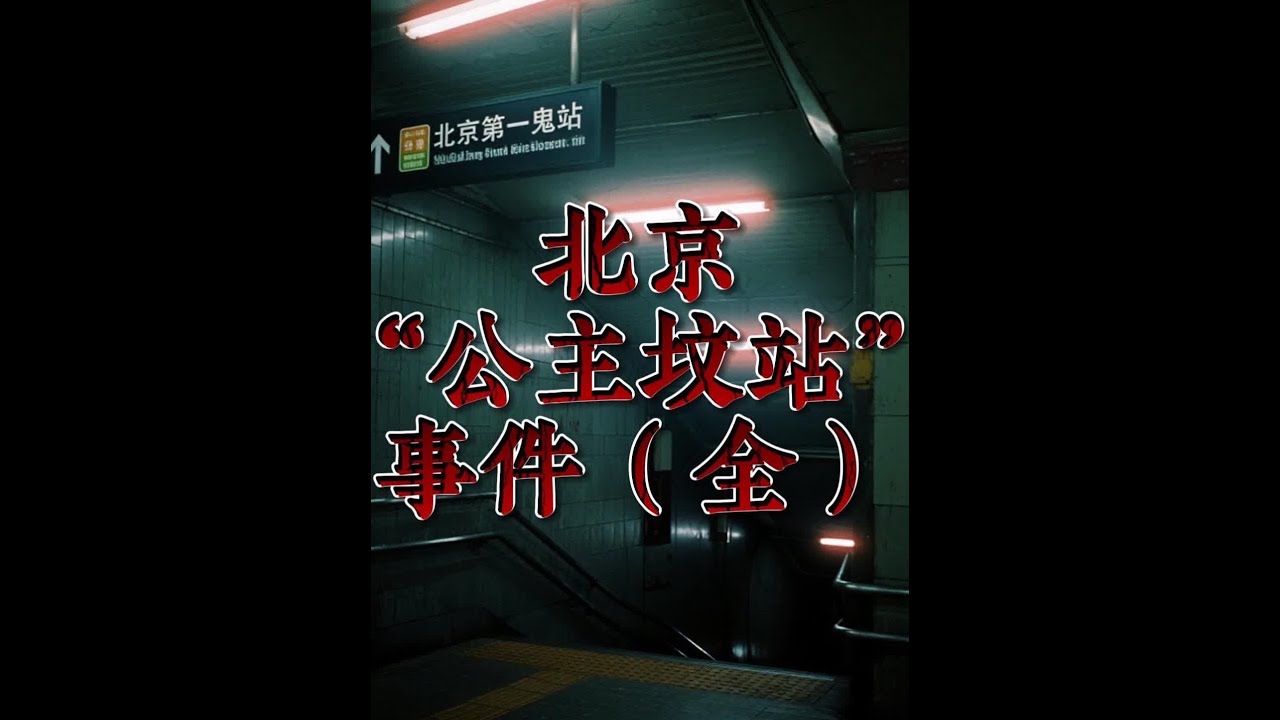 北京&ldquo;公主坟站&rdquo;事件（全） #原创视频 #档案 #解密
