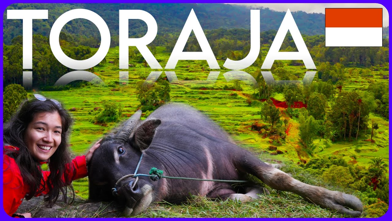 SULAWESI | Rantepao Tana Toraja | Indonesia travel VLOG 3