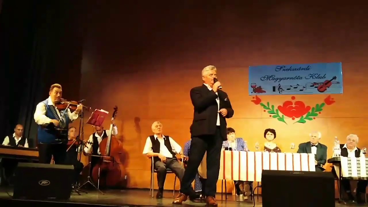 Nádasdi László Fergeteg dúlt vihar tombolt...