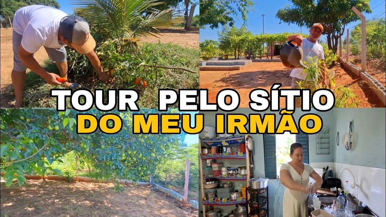 EM APENAS 80 METROS ELE TRASFORMOU EM UM  SÍTIO CHEIO DE FRUTÍFERAS VERDURAS tour pelo pequeno sítio