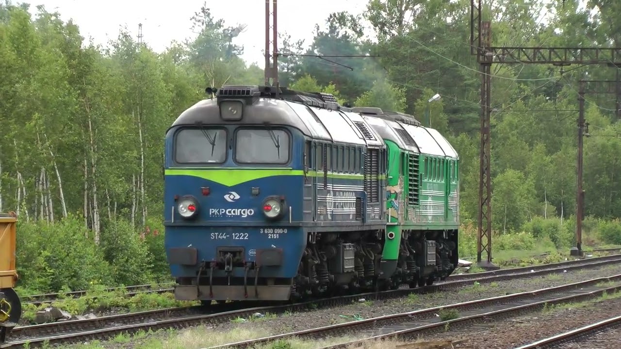 Dwa Gagariny (Kathrina !) Sędzisław 2012