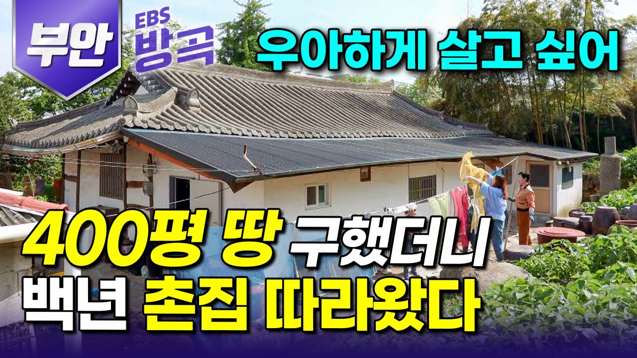 [전북 부안] '나도 저렇게 살고 싶다..' 다른 걱정 없이 정원 꾸미며 살고 싶어 조용한 골목 끝, 100년 넘은 고택 고치지도 않고 들어온 여자｜#한국기행 #방방곡곡