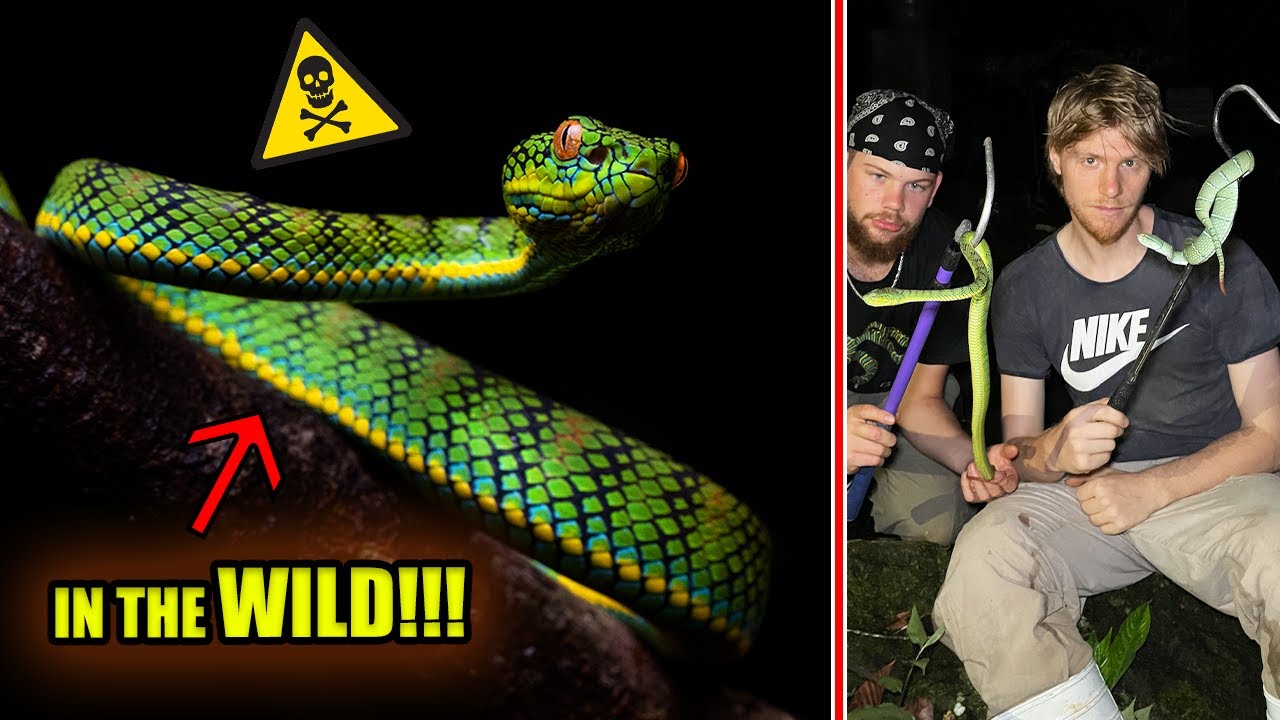 We went to the Philippines and found THIS!!!