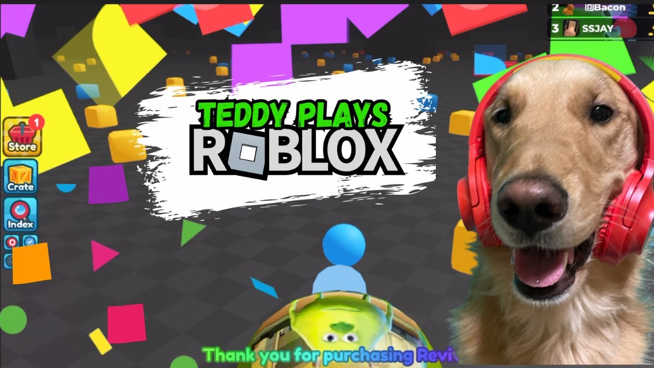 Teddy Plays Roblox - Take Game Edition 