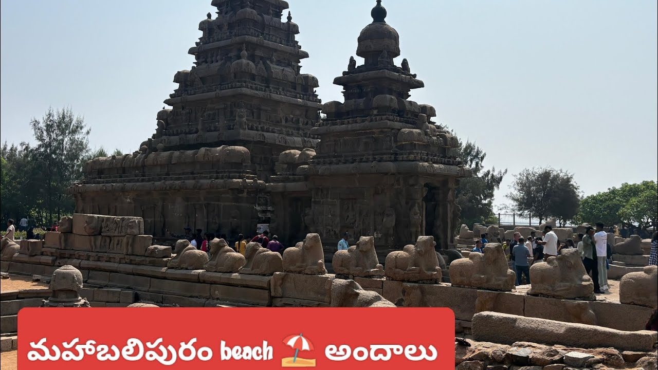 #mahabalipuram trip #mahabalipuram beach # thamilnadu famous temples #trending vedios #viral shorts#